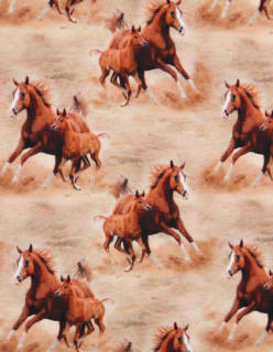 HORSES ruskea