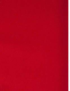 REMBRANDT -sametti punainen