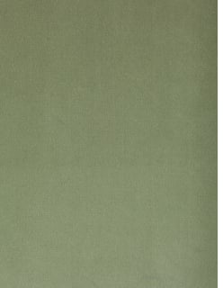 REMBRANDT -sametti vaaleanvihreä