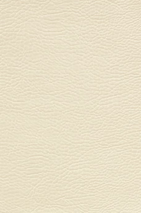 NAPA -keinonahka beige