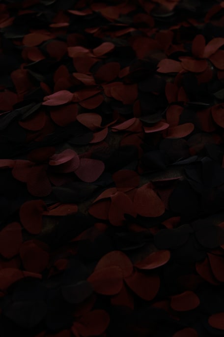 CARAMBA lasercut ruskea