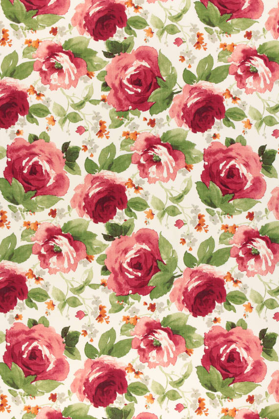 PAULINE-lajitelma punainen