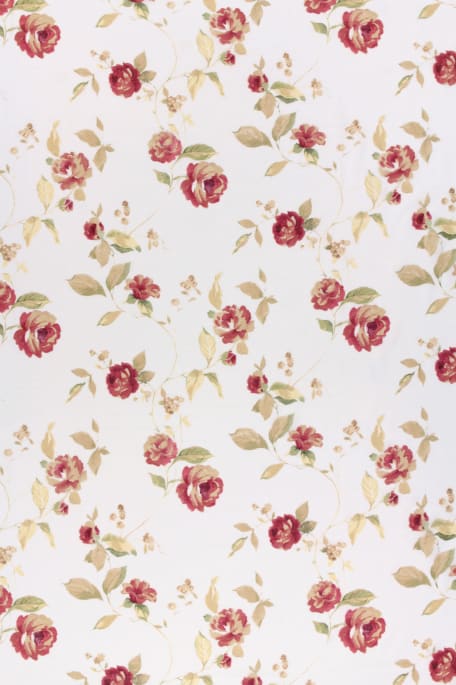 PAULINE-lajitelma punainen