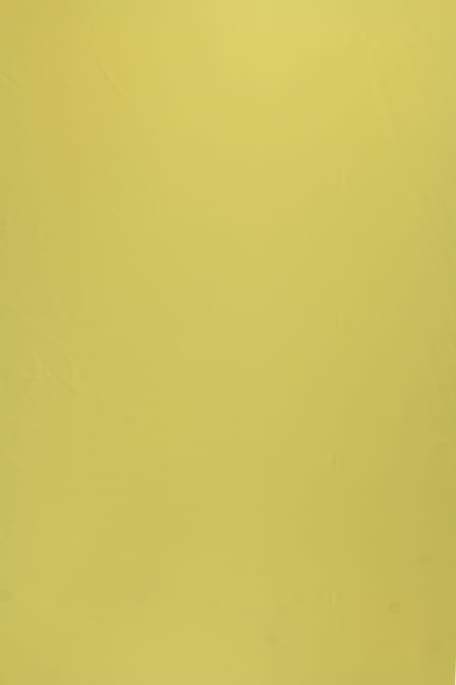 CROFTON -pimennyskangas vaaleanvihreä
