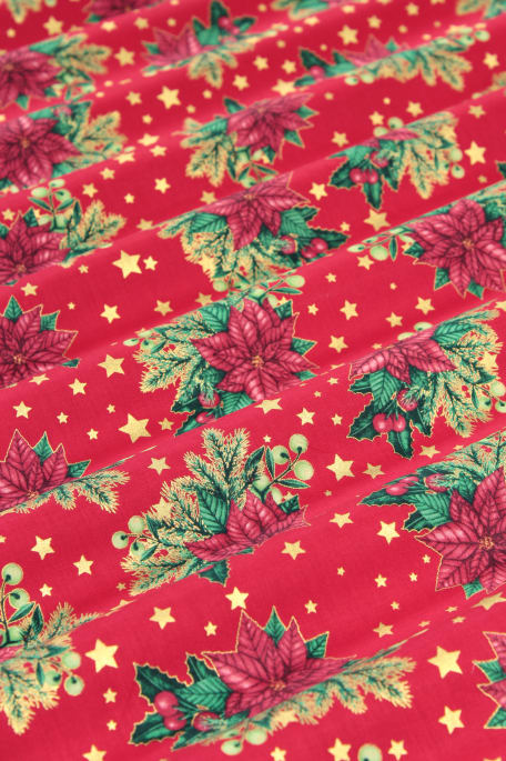 TÄHTILATVA punainen