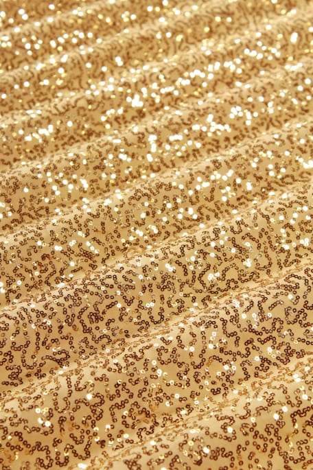 DANCERS PALJETTITRIKOO hopea