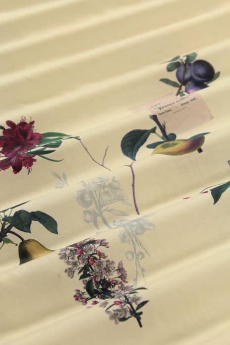 KESÄFIILIS viininpunainen