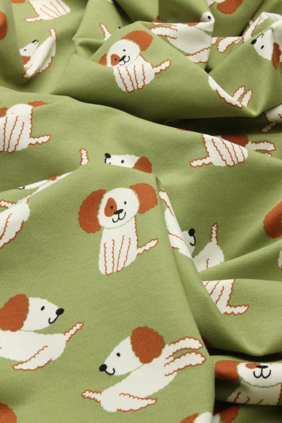 KOIRA -college vihreä