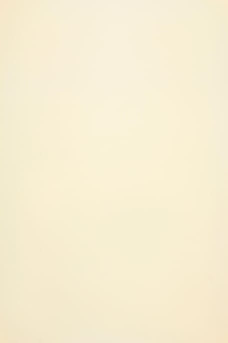 SB PLUS vv luonnonvalkoinen