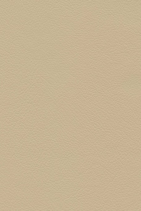 TRANSAT 2 -keinonahka beige