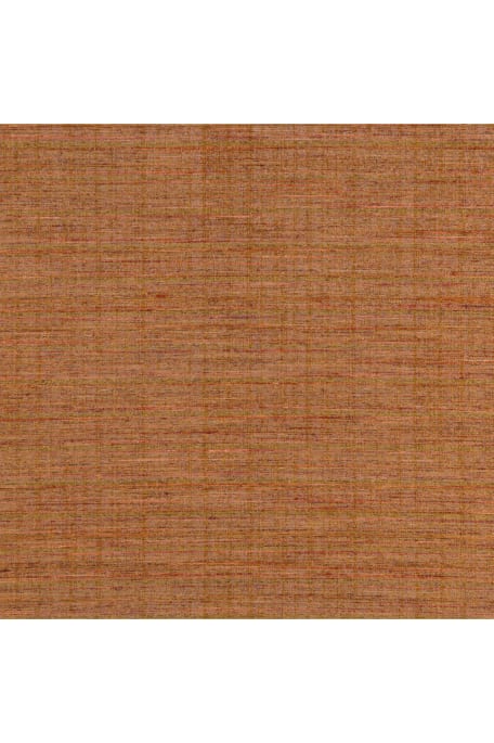 IMAGINATION tummaoranssi