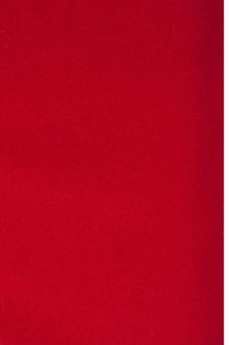 REMBRANDT -sametti punainen
