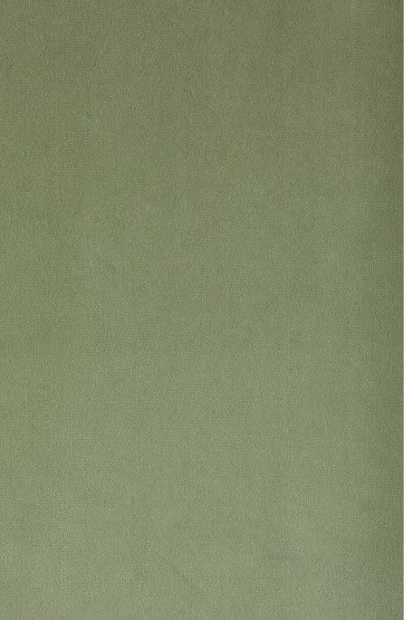 REMBRANDT -sametti vaaleanvihreä